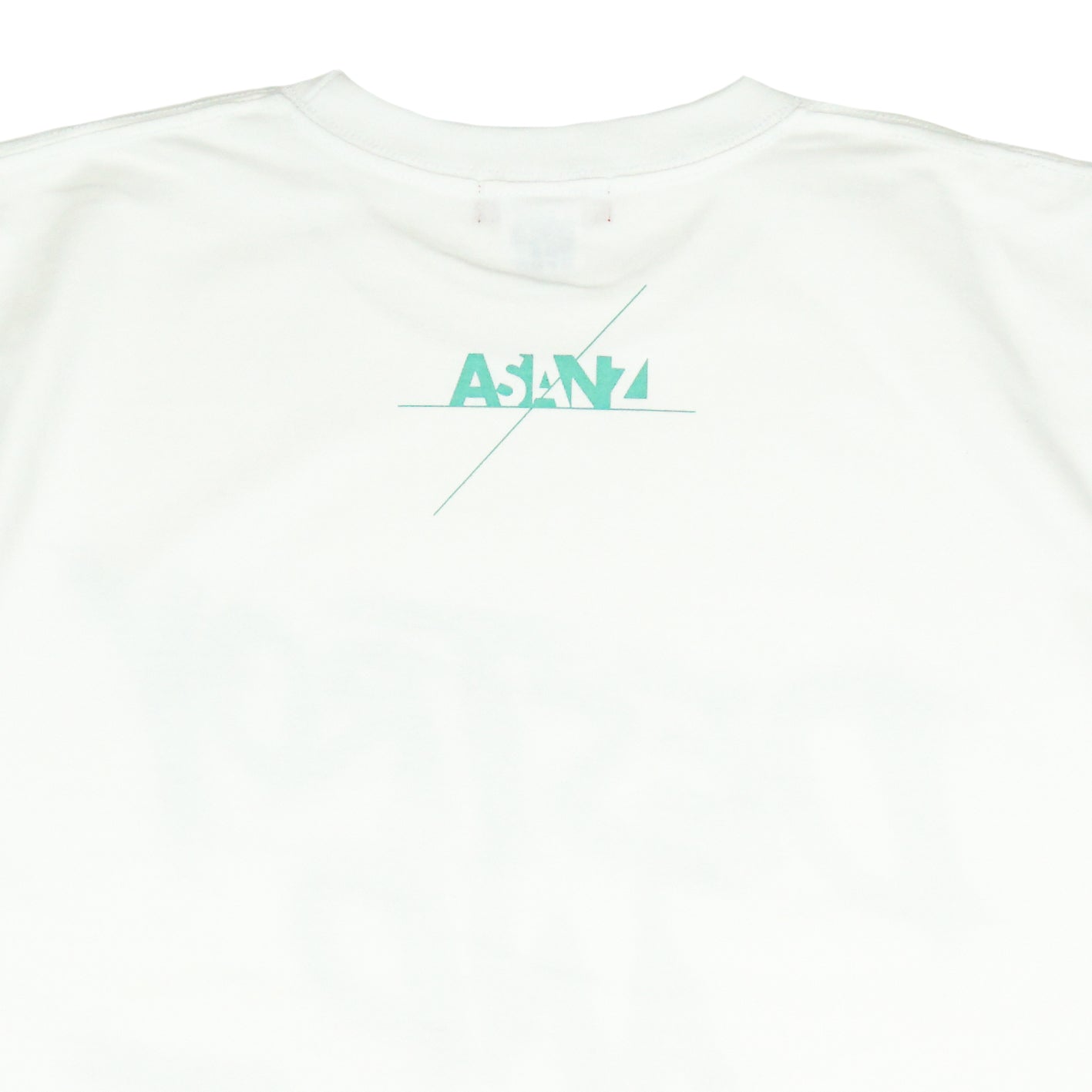ASIANZ DESTROY AND EVOLNE Tシャツ